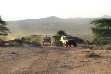 Rhino Charge