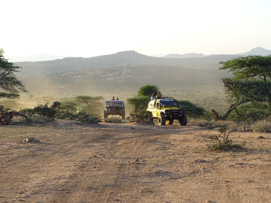 Rhino Charge