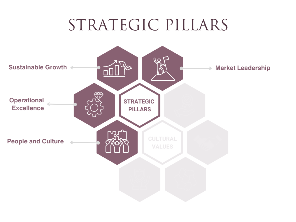 Castor Vali Vision 2030 strategy diagram